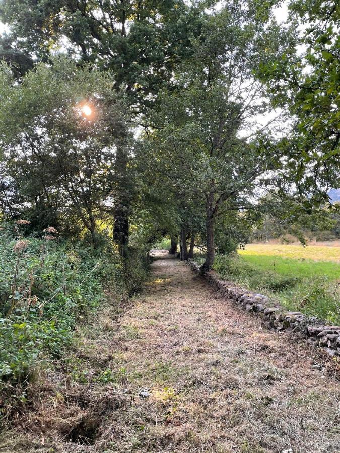 Apartamento Rural Meaus Rubias Dış mekan fotoğraf